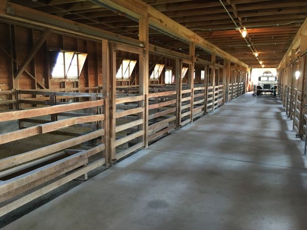 Barn Floor Pouring in Rapid City