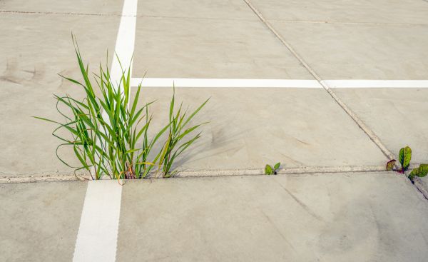 Concrete Parking Installation in Rapid City